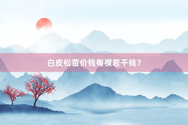 白皮松苗价钱每棵若干钱？