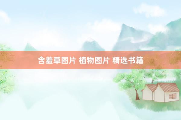 含羞草图片 植物图片 精选书籍