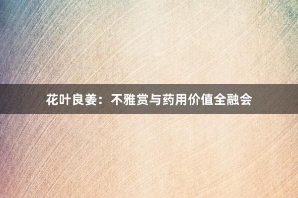 花叶良姜:不雅赏与药用价值全融会