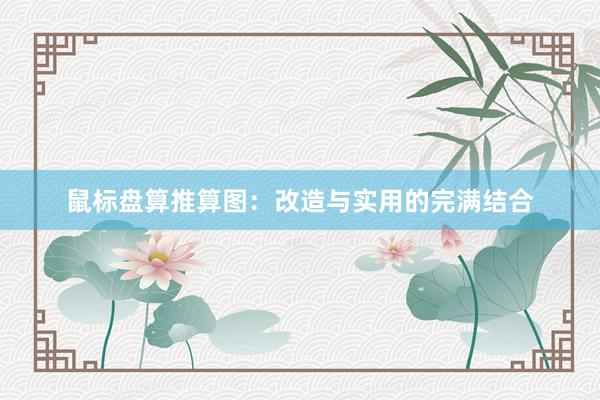 鼠标盘算推算图:改造与实用的完满结合