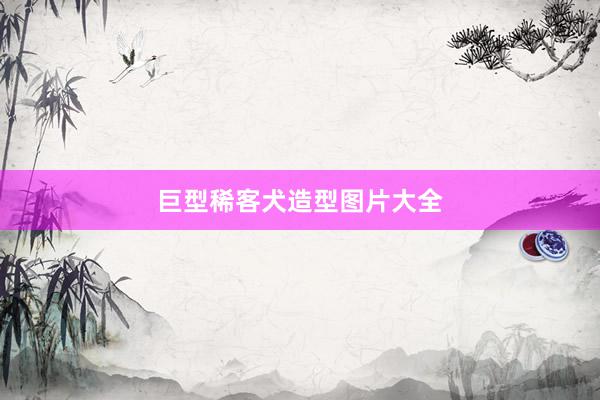 巨型稀客犬造型图片大全