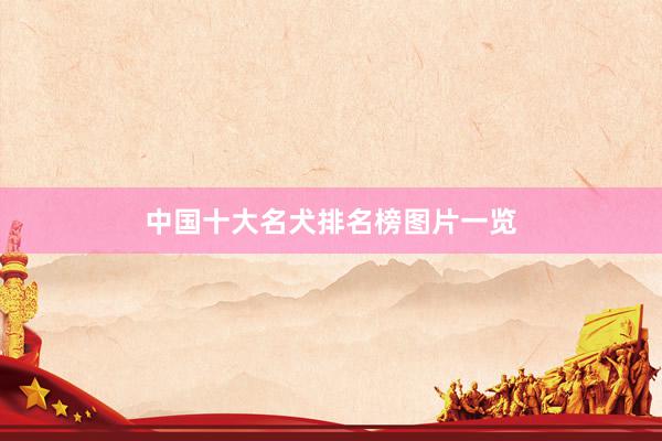 中国十大名犬排名榜图片一览