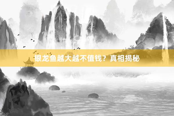 银龙鱼越大越不值钱？真相揭秘