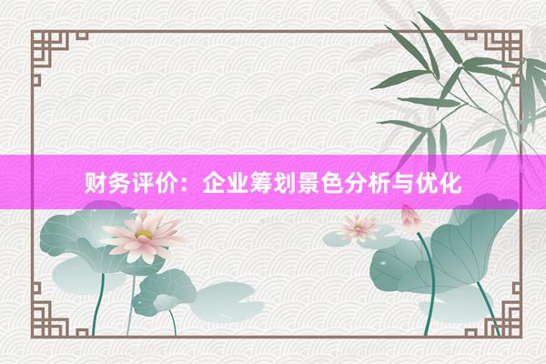 财务评价：企业筹划景色分析与优化